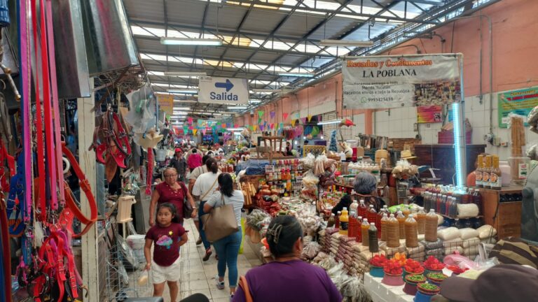 Aumenta venta de pavos en mercados de Mérida