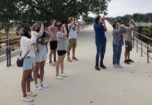 Observadores de aves denuncian acoso en parque La Plancha Aves parque la plancha