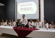 “Que Siga la Democracia”, brazo ciudadano de la 4T