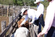 Huacho Díaz se fracturó el brazo