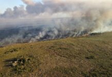 Aumenta frecuencia de incendios en Yucatán
