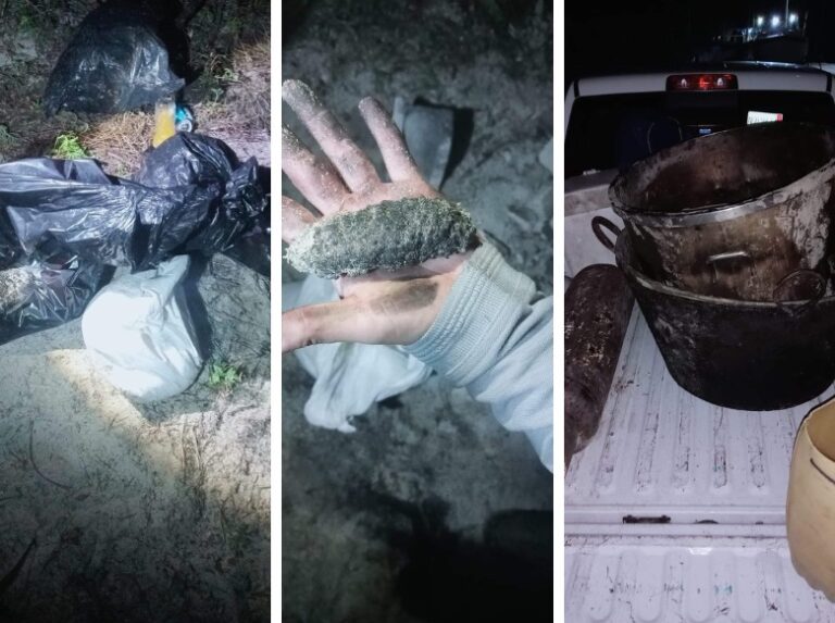 Desmantelado sancochadero clandestino de pepino de mar