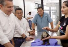 Atención médica especializada para especies en El Centenario