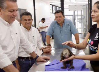Atención médica especializada para especies en El Centenario