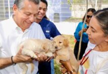 Ayuntamiento de Mérida promueve cuidado animal responsable