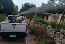 SSY implementa fumigación en franja costera de Yucatán