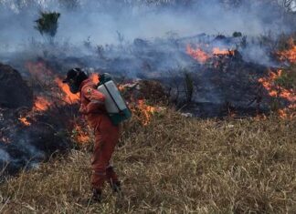 Factores humanos principales causa de incendios en Yucatán