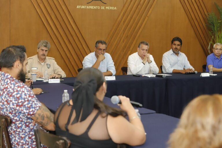 Tianguistas ya no podrán "bajar" luz de los parques