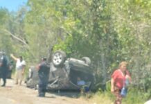 Trágico accidente en la carretera Celestún-Kinchil