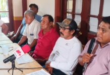 Apicultores de Yucatán exigen alto a muert3 de abejas Apicultores de Yucatán exigen alto a muert3 de abejas