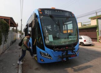 Va y Ven Vergel