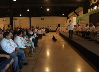 Yucatán avanza como hub de componentes electrónicos