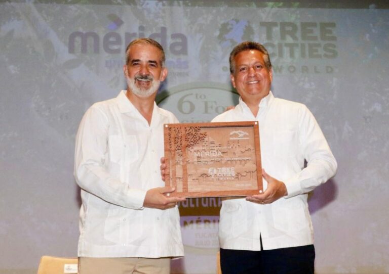 Mérida ciudad Árbol