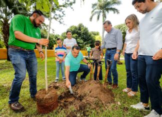 Cruzada Forestal