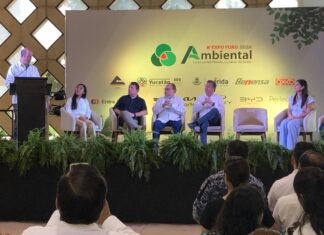 Regalarán 8 mil árboles en Expo Ambiental Mérida