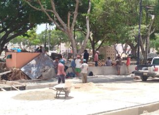 Retiran árboles enfermos y secos de la Plaza Grande