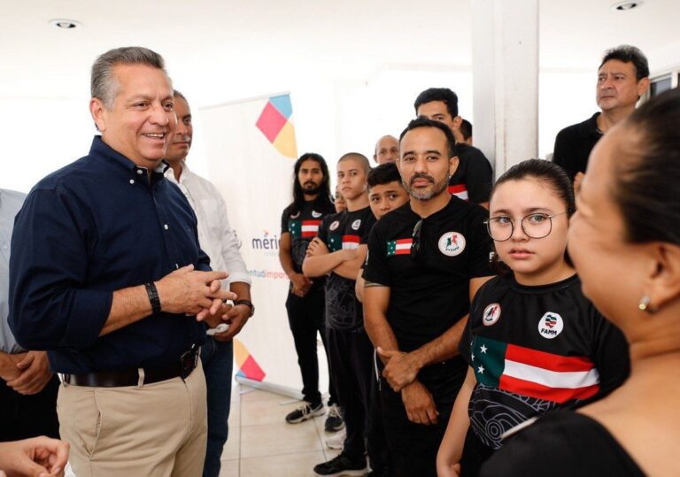 artes marciales mixtas