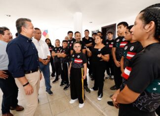 artes marciales mixtas