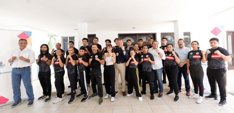 artes marciales mixtas