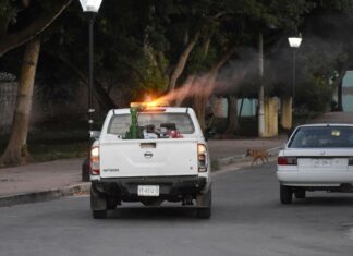 Yucatán alcanza histórica reducción de dengue con fumigación