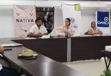 Encuentro estatal para unificar estrategias de meliponicultores