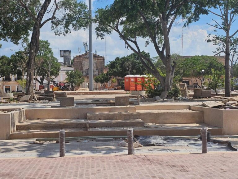 Plantarán 100 árboles en la Plaza Grande
