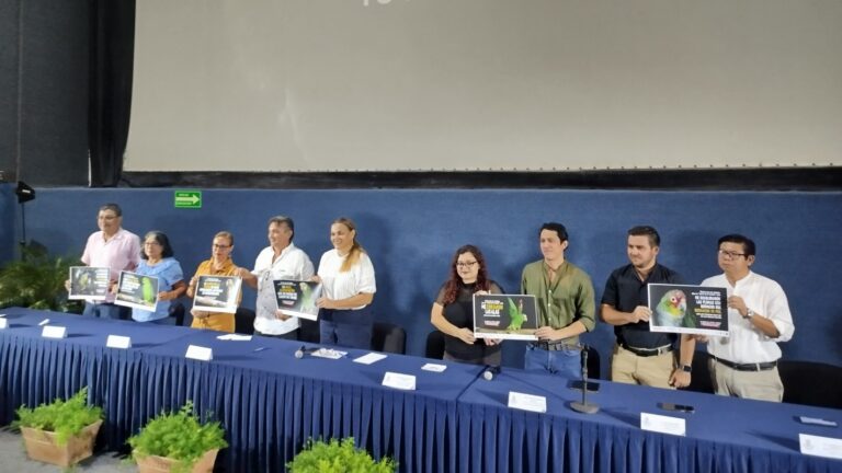 Campaña busca frenar tráfico ilegal de loros en México