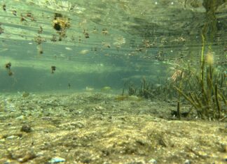 Reutilización de lodos: solución para contaminación del acuífero