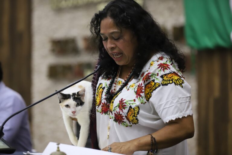 Congreso Yucatán animales