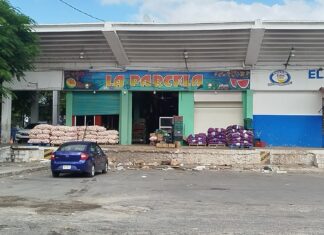 Crece demanda de frutas durante temporada invernal