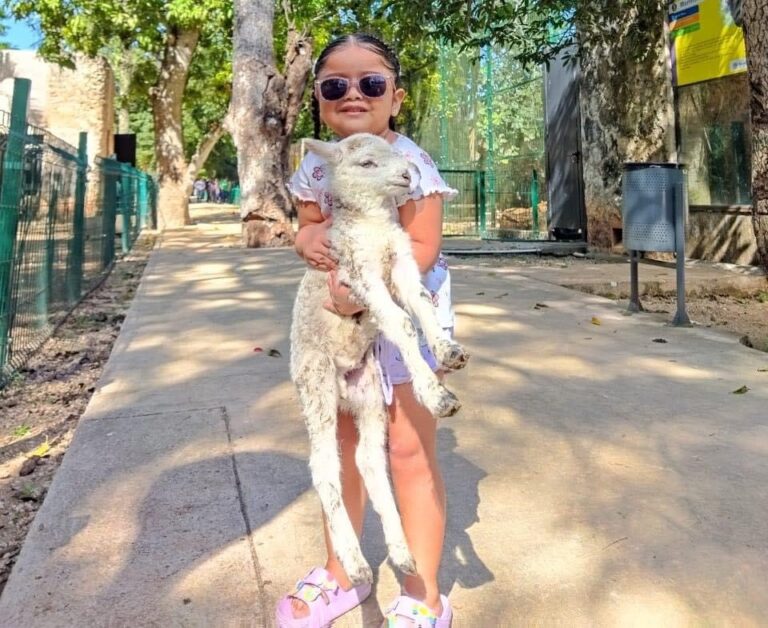 Granja interactiva y zona de reptiles en zoológico de Tizimín