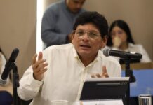 PAN propone sustituir el reemplacamiento por un refrendo