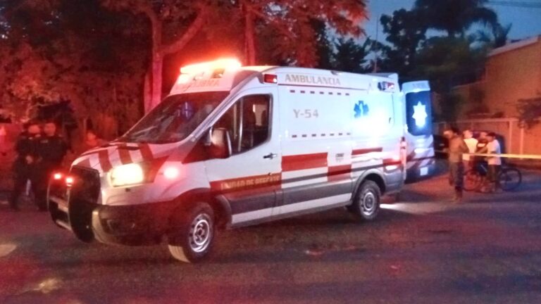 Ciclista lesionado tras caída de árbol en Mérida