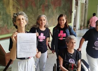 Exigen acciones urgentes contra violencia de género en Yucatán