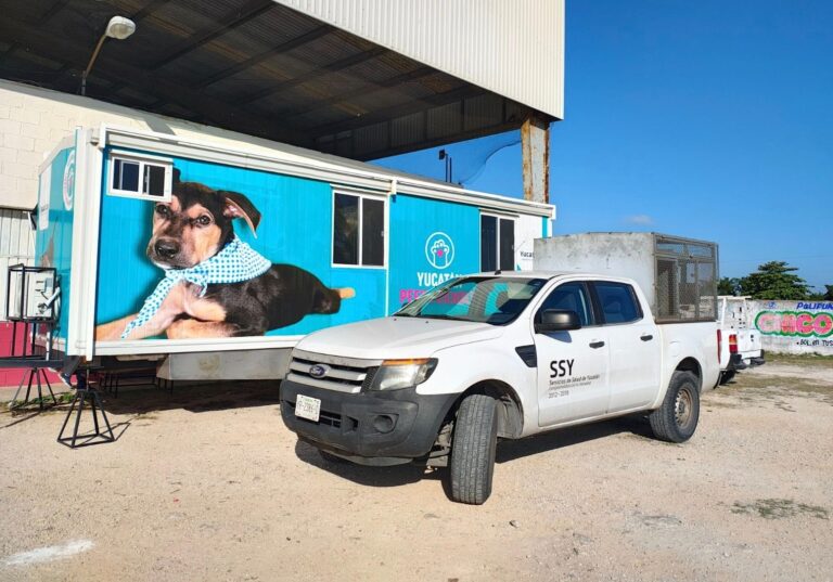 Jornadas esterilización Yucatan