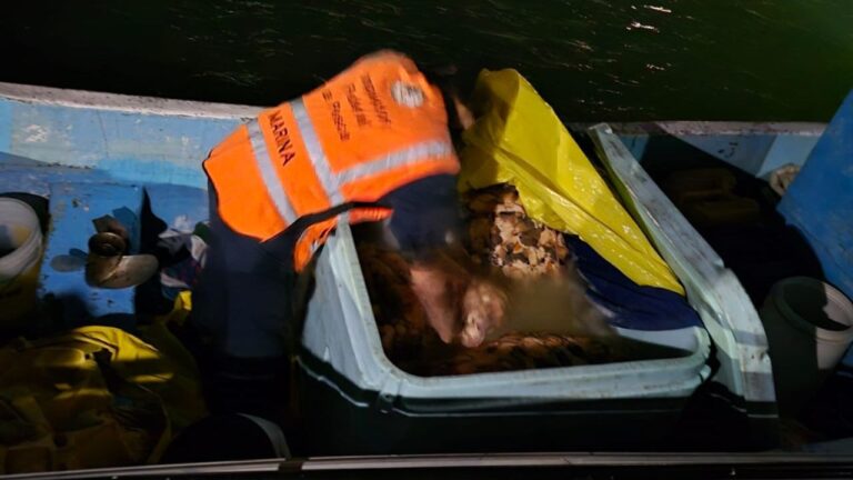 Aseguran caracol y mero en veda, cuatro detenidos