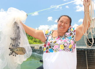 Tilapia Yucatán