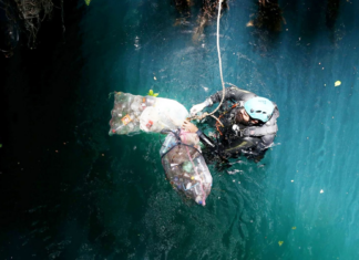 Cenotes de Yucatán, en grave riesgo ambiental