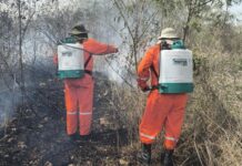 Se acerca mayo: aumentan los riesgos por incendios en Yucatán Incendios en Yucatán