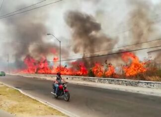 incendios Mérida