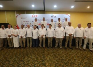 AYCE Constructores electrónicos