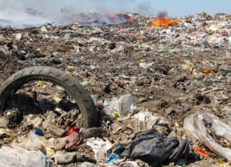 Yucatán nada en un mar invisible de contaminación