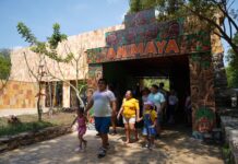 Animaya celebra sus primeros 15 años