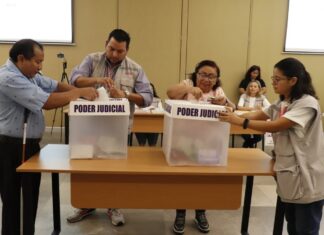 voto personas con discapacidad