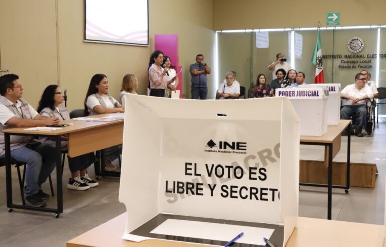 voto personas con discapacidad