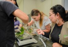 Cuidado de la biodiversidad urbana: Cecilia Patrón