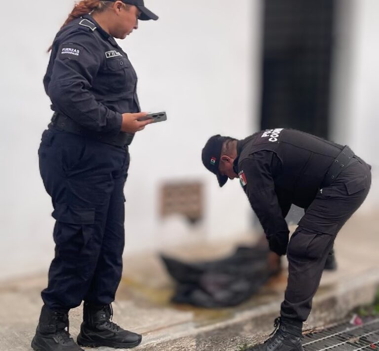 perro envenenado Tizimín