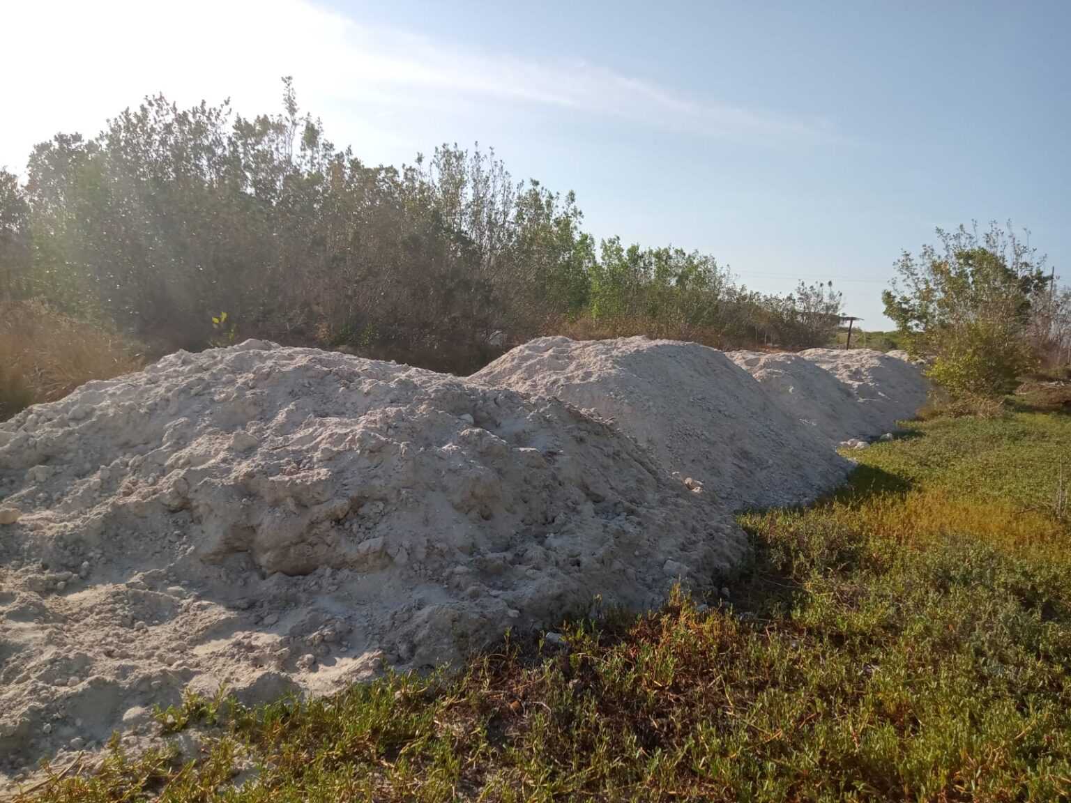 Denuncian ecocidio en Sisal por relleno ilegal de manglares