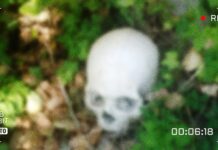 Encuentran tres cráneos humanos en carretera yucateca