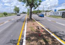 Dirán «adiós» al carril confinado del Ie-tram en la avenida Internacional Carril confinado Ietram